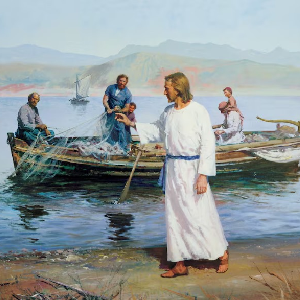 BUSCANDO A MI DISCÍPULO